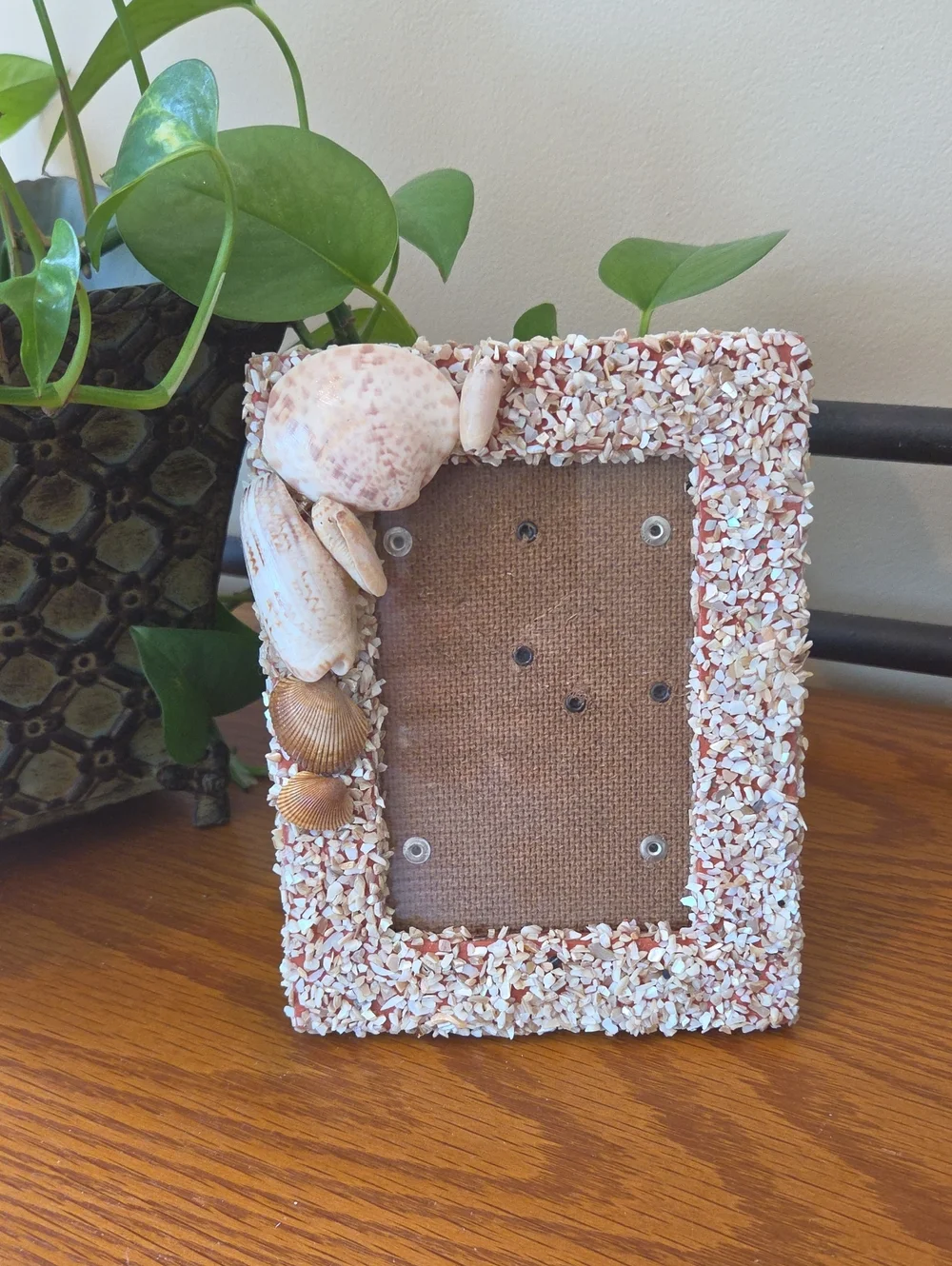 Seashell Photo Frame - Natural- Holds 3x5 Photo